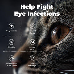 DURVMED Eye Care Cream being gently applied to a pet's eye area