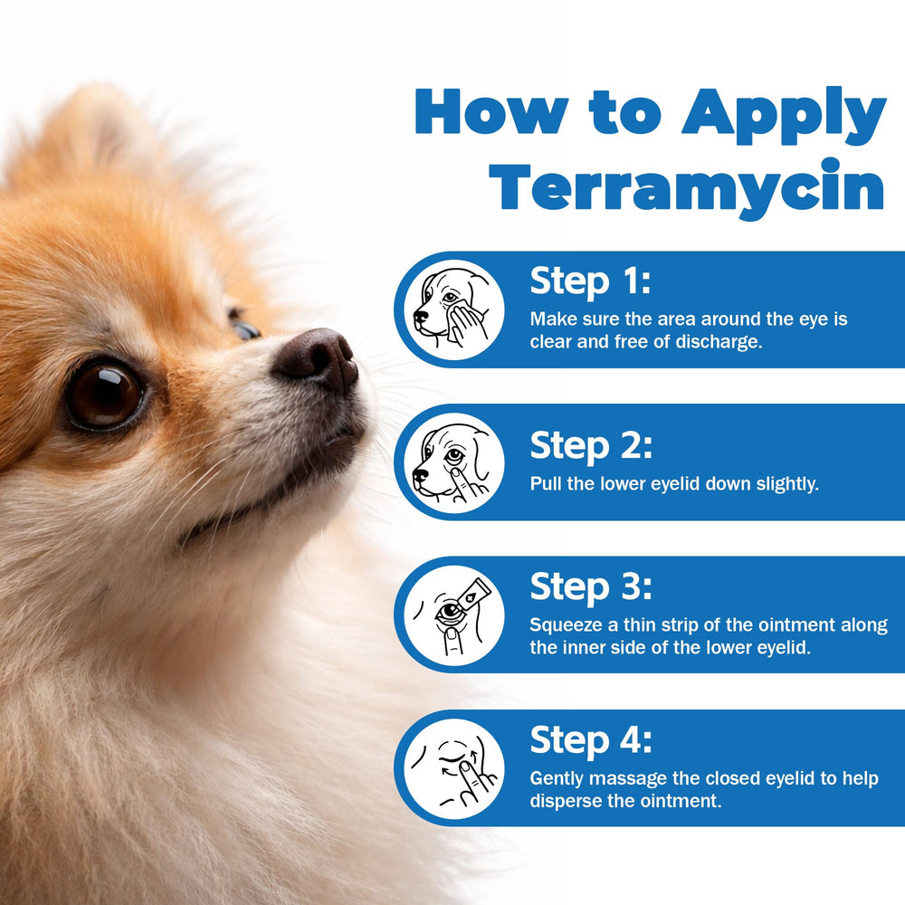 DURVMED Grooming routine with easy-step application on the eye area