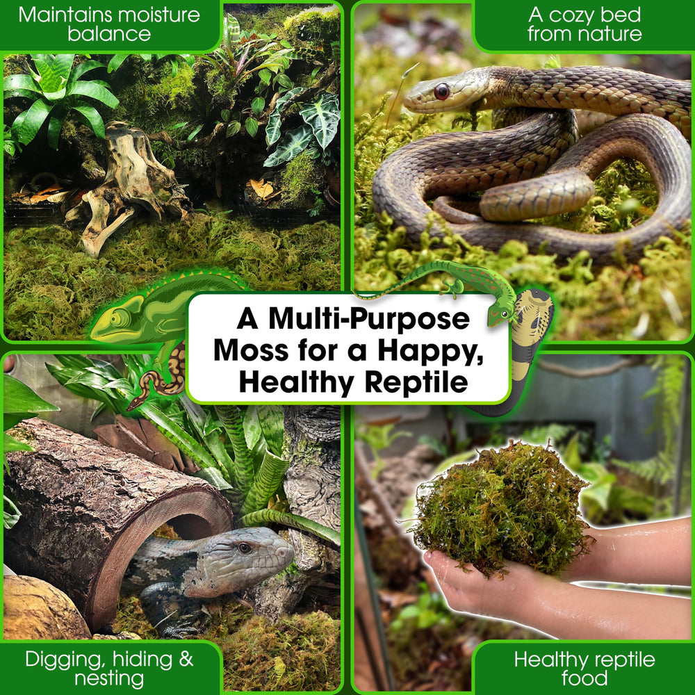 Duspro forest moss bag helps maintain humidity in terrariums