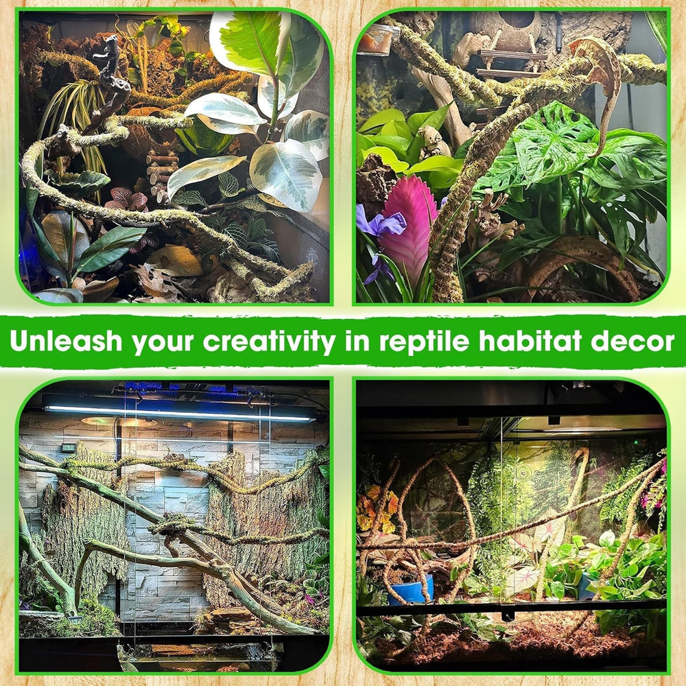 Duspro reptile tank accessories set for easy setup and upgrades