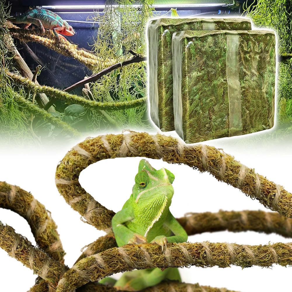 Duspro reptile vine 118-inch for natural climbing enrichment in terrariums