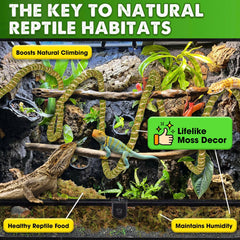 Duspro terrarium decor set for realistic habitat visuals