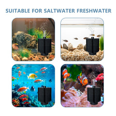 DVHEY easy-clean sponge filter design for tool-free maintenance