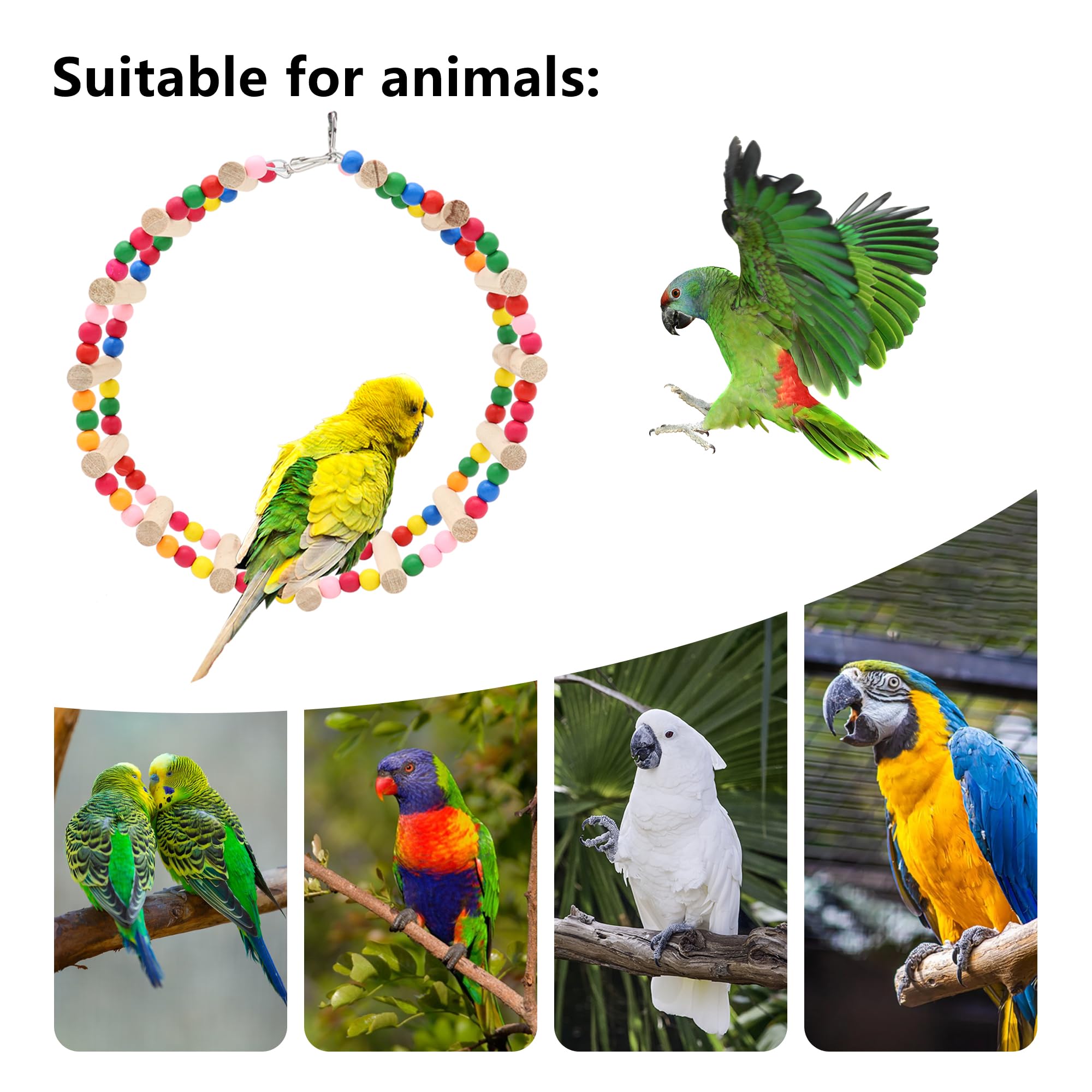DVHEY multi-size ladder set fits small to medium birds for varied activity.