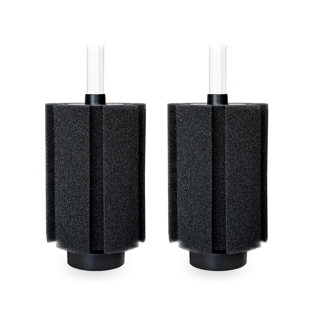 DVHEY 2-pack large aquarium filter provides scalable filtration for fish and shrimp tanks.