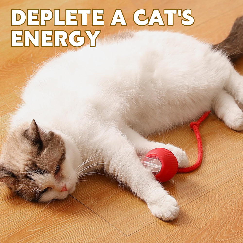 DVHNMK Chewie 360 ball obstacle avoidance keeps play safe.