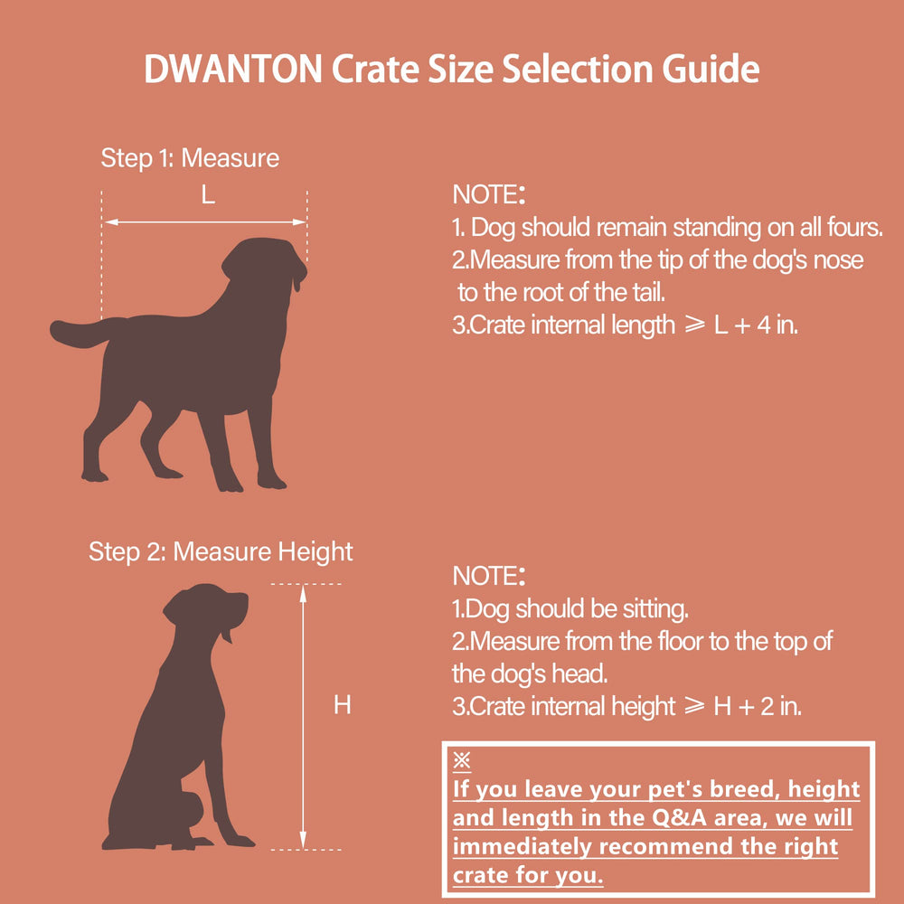 Dwanton assembly guide helps a quick, tool-friendly setup.