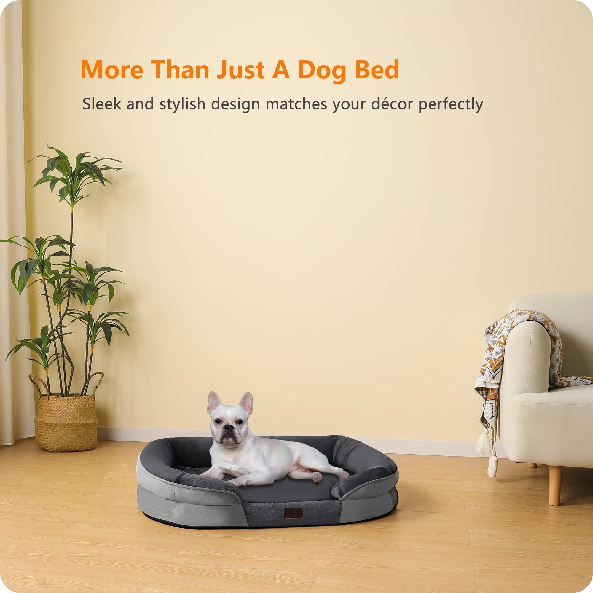 Dwanton 28-inch dark gray model complements medium dogs' spaces.