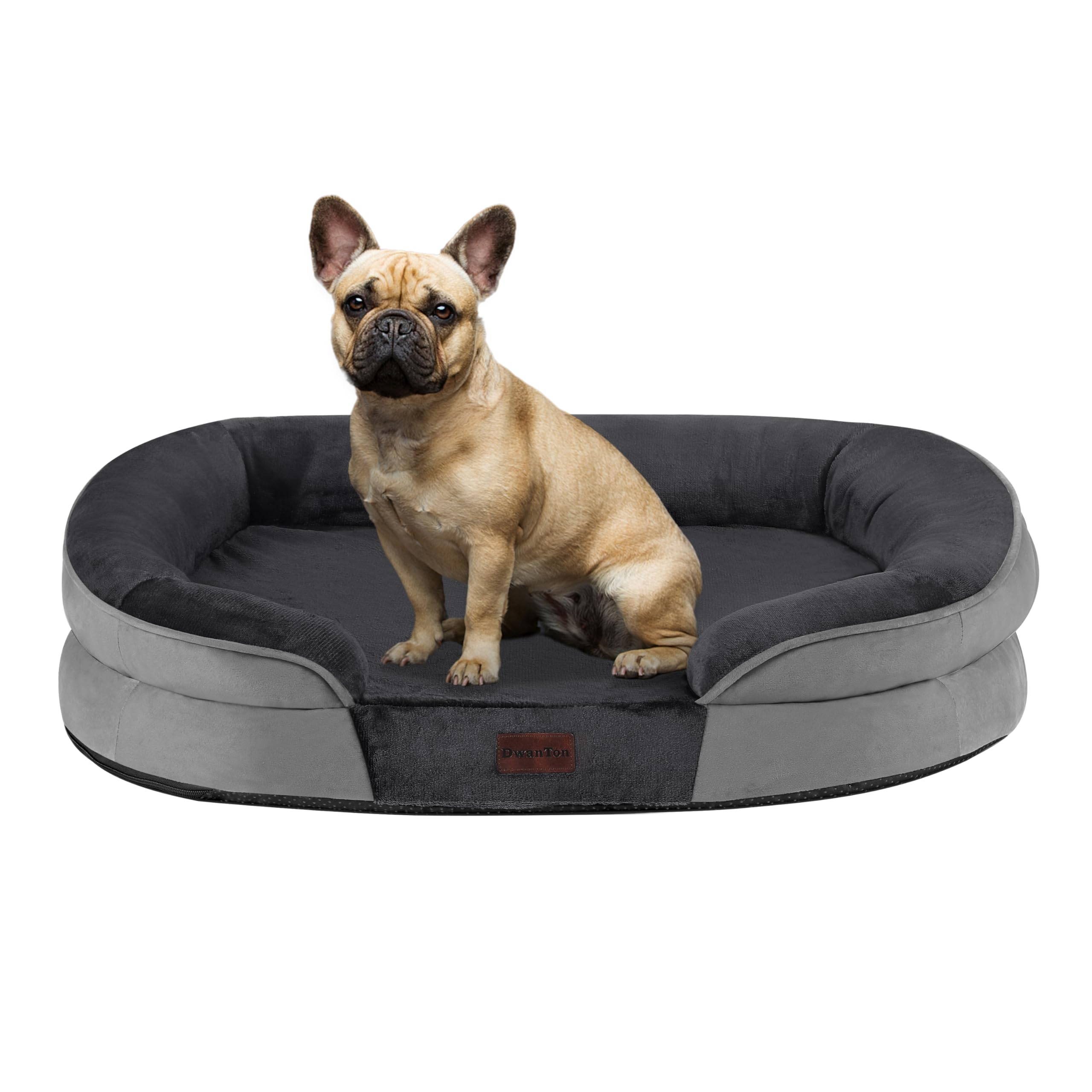 Dwanton orthopedic dog bed with gel memory foam supports medium dogs during rest.
