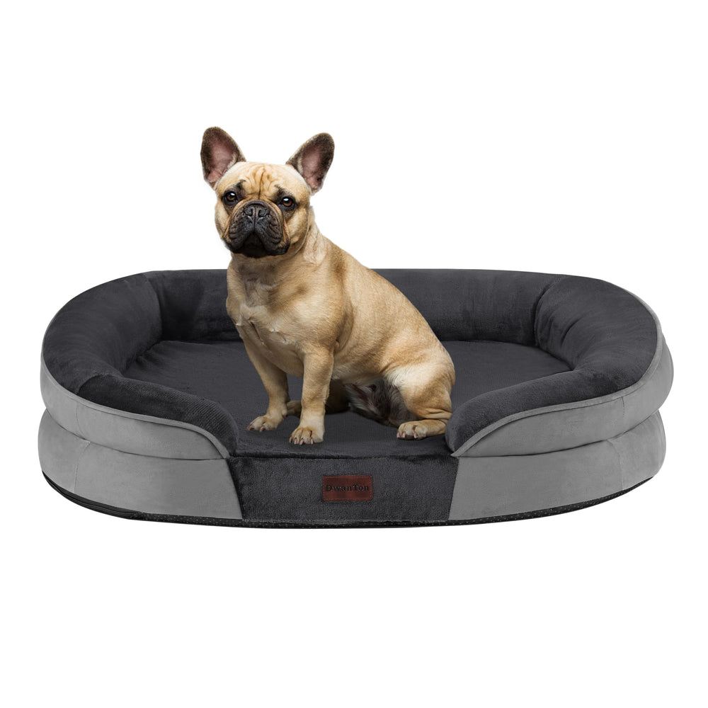 Dwanton orthopedic dog bed with gel memory foam supports medium dogs during rest.
