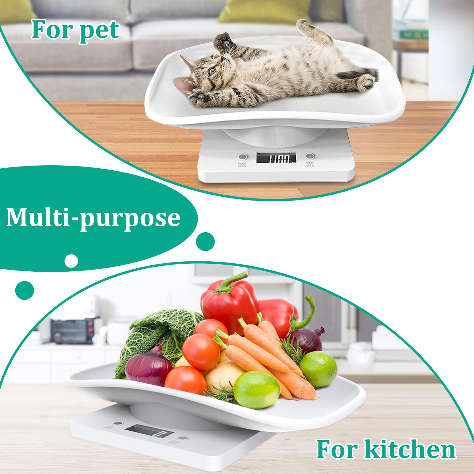 DWSFADA kitchen scale for weighing grains, fruits, and nuts.