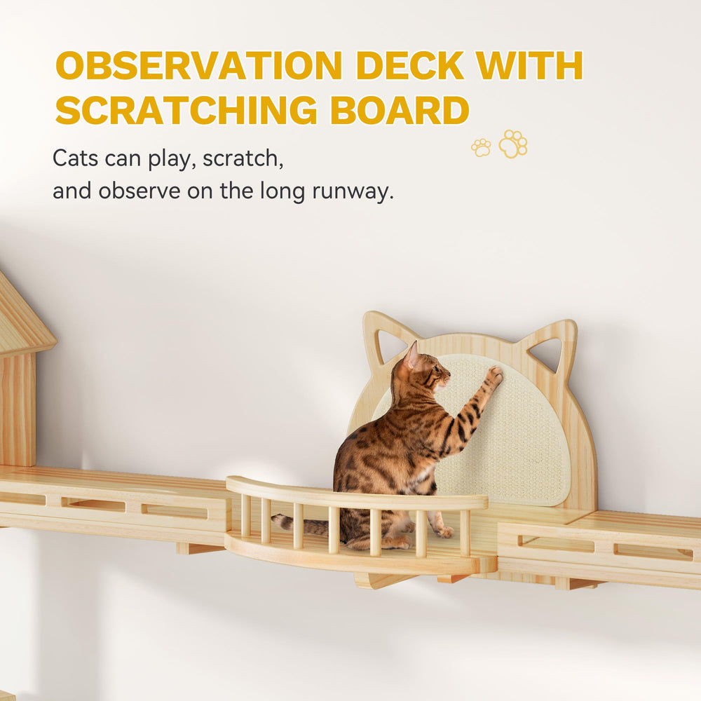 DWVO cat runway connects platforms for varied routes