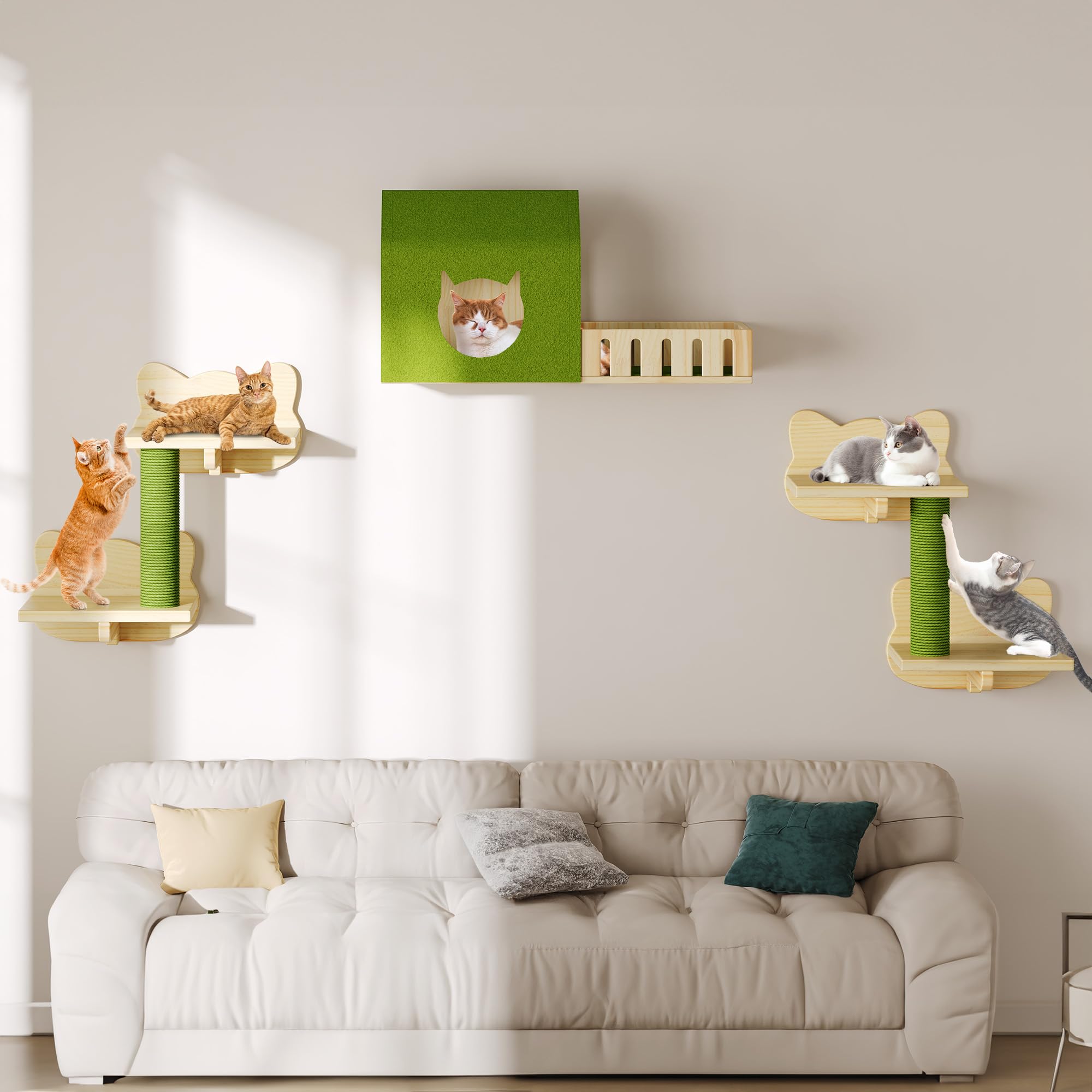 DWVO step-by-step assembly guide simplifies setup on any wall.