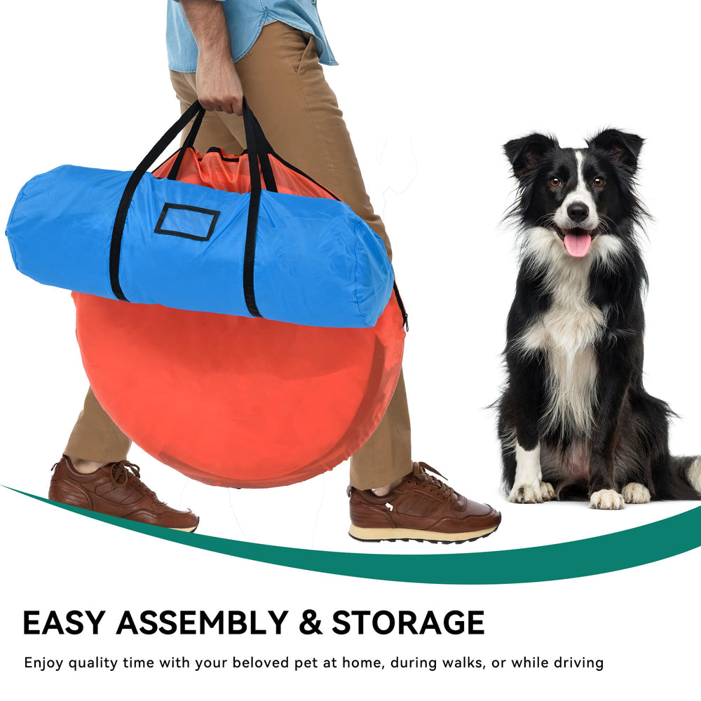DWVO Full Set delivers complete agility gear for yard or park sessions