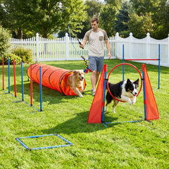 DWVO Dog Agility Teaser Stick enables precise training cues