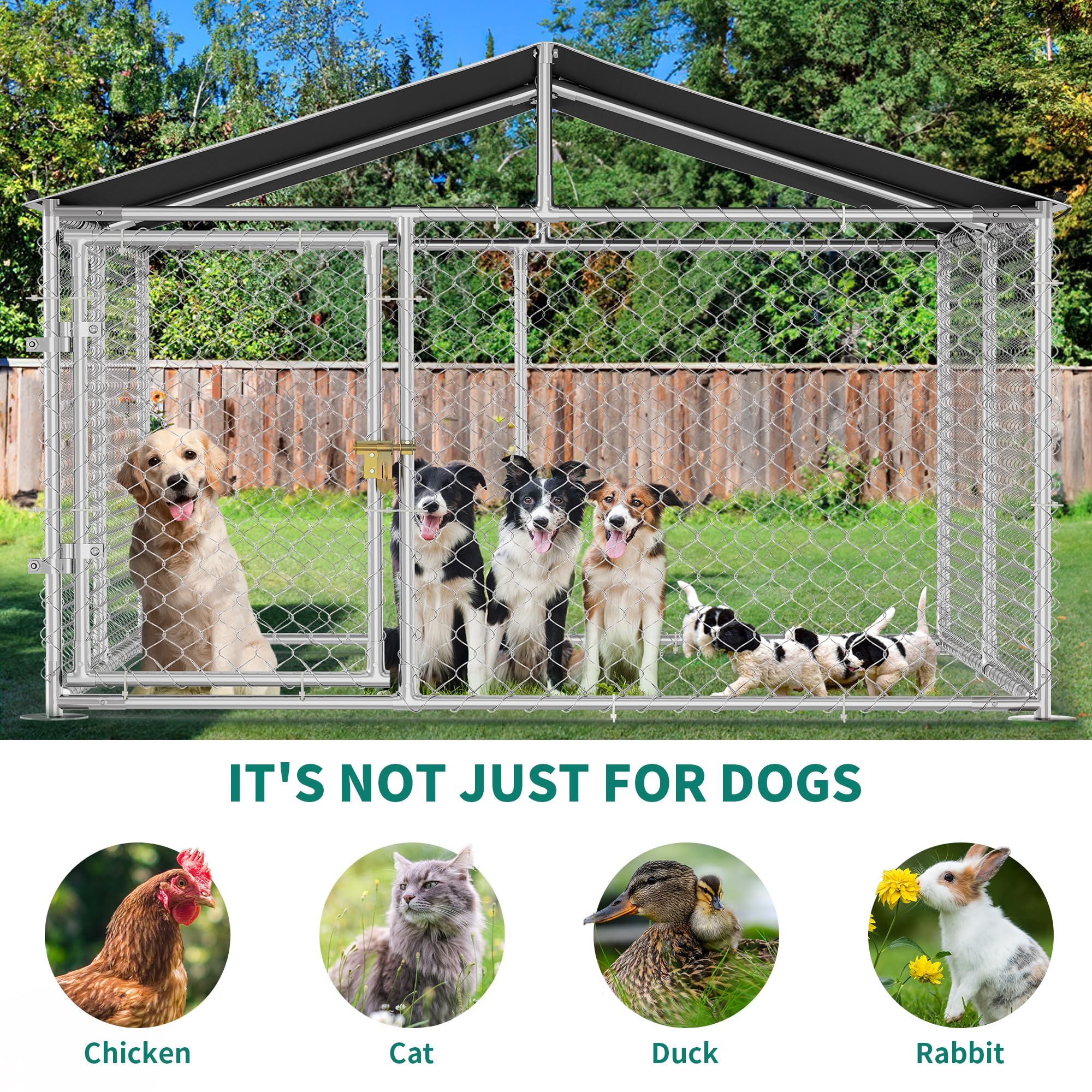 DWVO dog kennel with metal gate highlighting secure access and easy cleaning