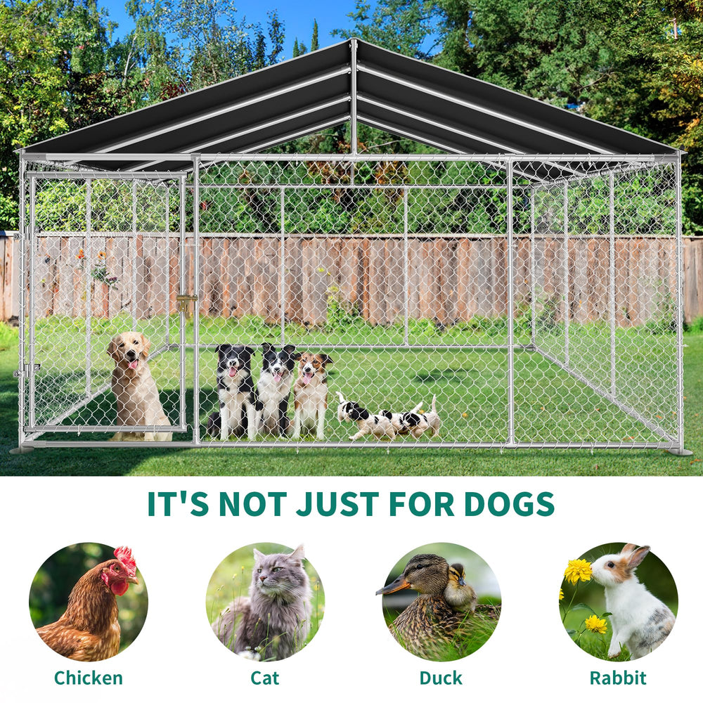 DWVO outdoor kennel side view – spacious play area for large dogs.
