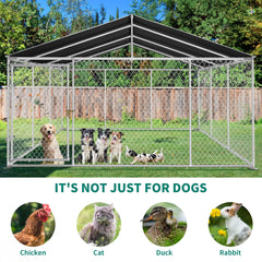 DWVO outdoor kennel side view – spacious play area for large dogs.