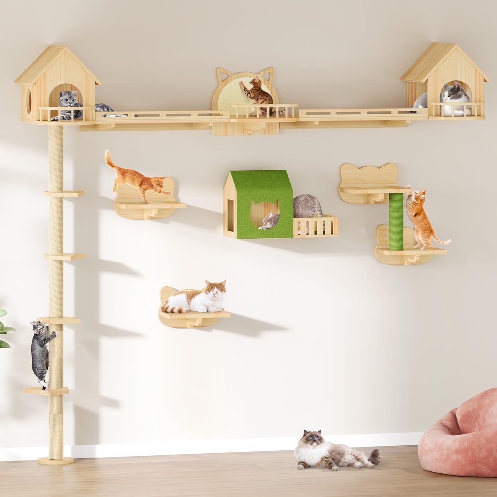DWVO solid pine shelves offer durable, safe enrichment for curious felines