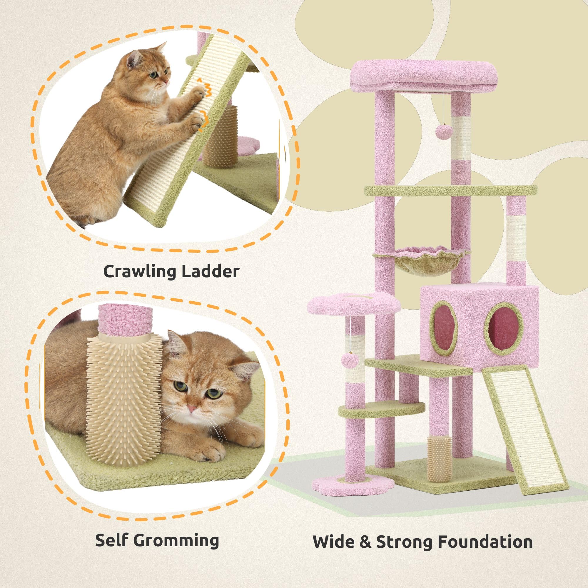 DWVO Top Perch features elevated view and sunny rest for curious cats