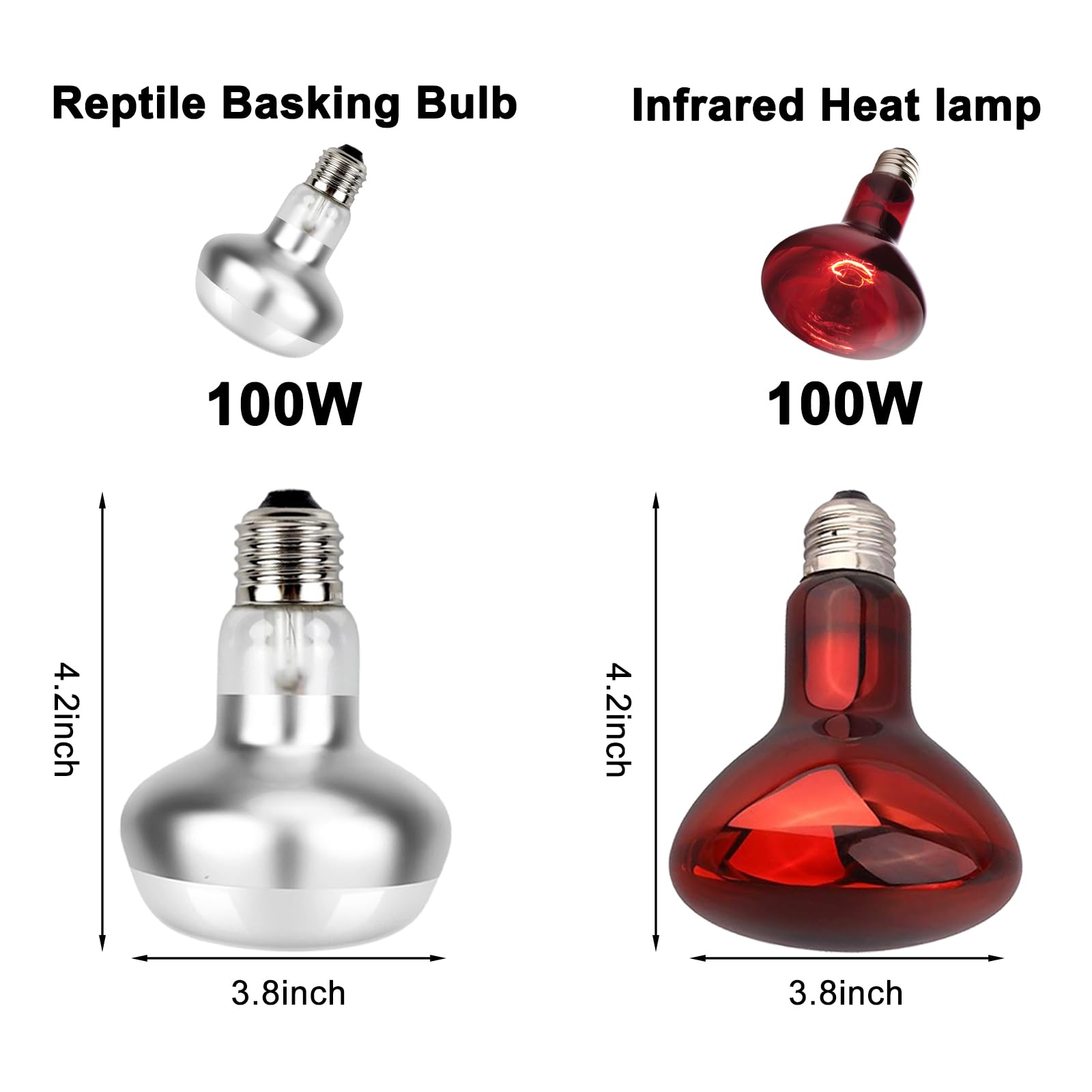 DXOPHIEX 100W basking bulb detail showing flat-bottom design and focused 30-degree spot.