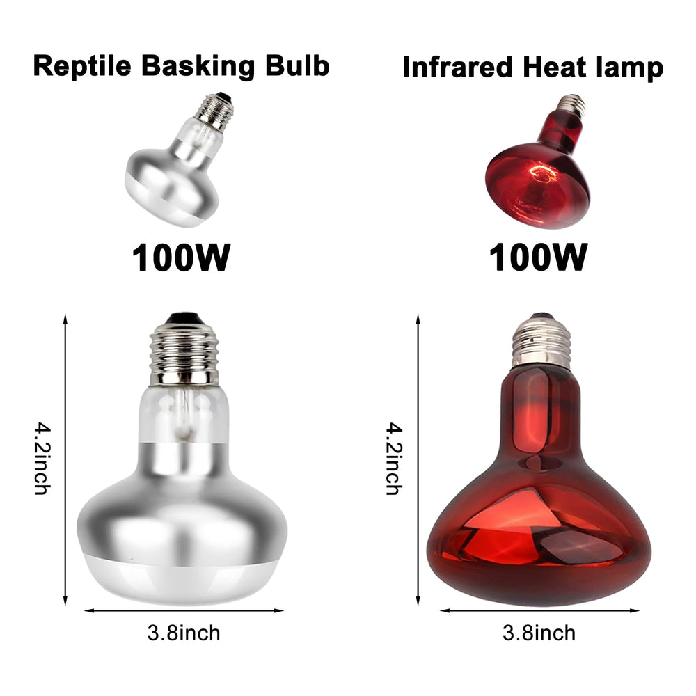 DXOPHIEX 100W basking bulb detail showing flat-bottom design and focused 30-degree spot.
