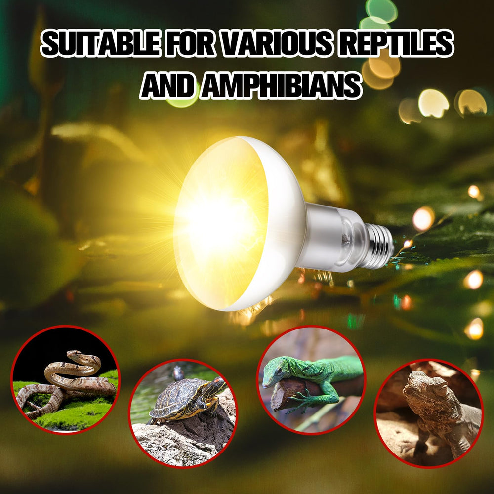 DXOPHIEX 100W reptile lamp packaging and after-sales support image