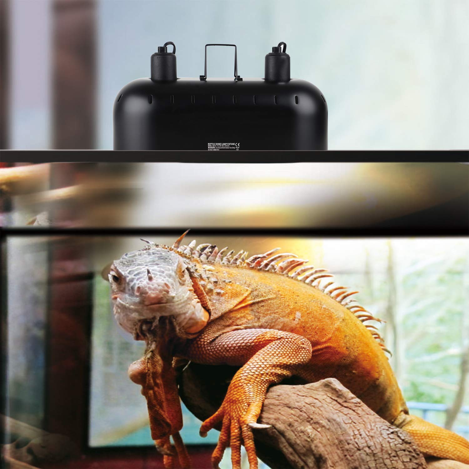 DXOPHIEX bearded dragon terrarium lighting demonstrates reliable warmth for basking.
