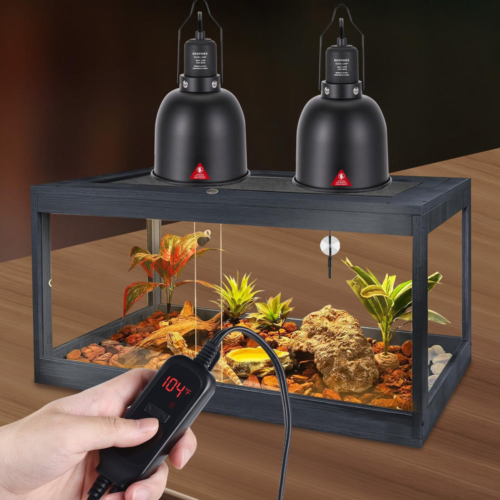 DXOPHIEX E26-compatible base setup for bearded dragons and other reptiles