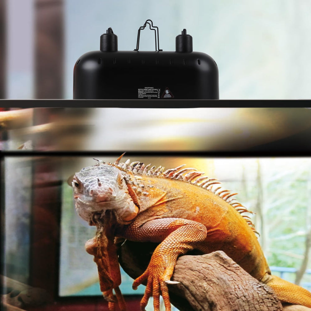 DXOPHIEX Aluminum reflector shade enhances light coverage and efficiency.