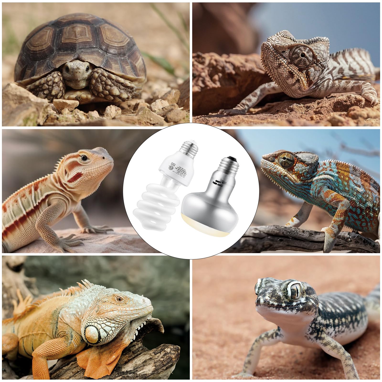 DXOPHIEX turtle, lizard, and snake lighting for comfortable activity.