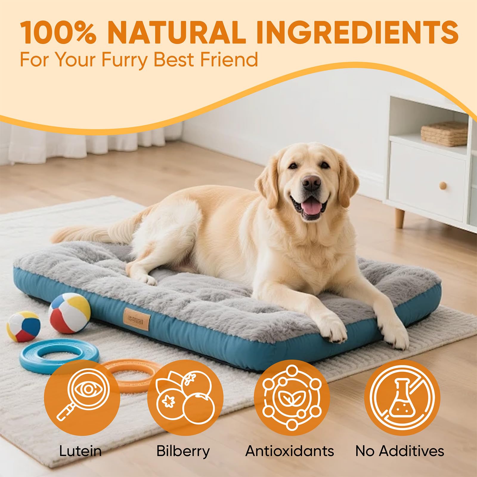 DXWXH Aura Pets bottle with soft lighting suggesting clarity and comfort.