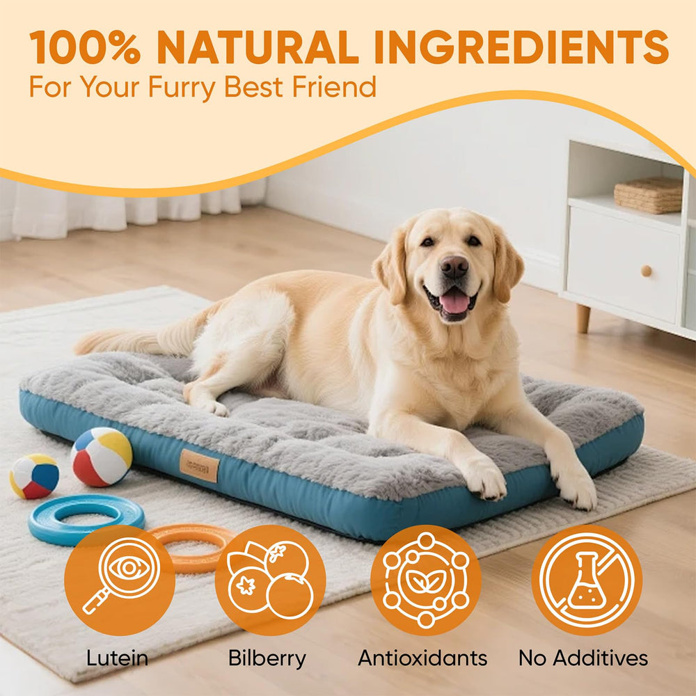 DXWXH Aura Pets bottle with soft lighting suggesting clarity and comfort.