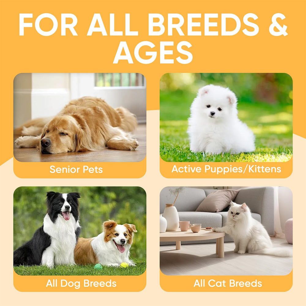 DXWXH Aura Pets natural-ingredients illustration conveying trusted eye care.
