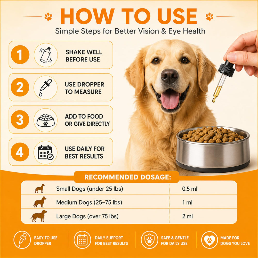 DXWXH Aura Pets vision formula beside dog bowl to reinforce routine.