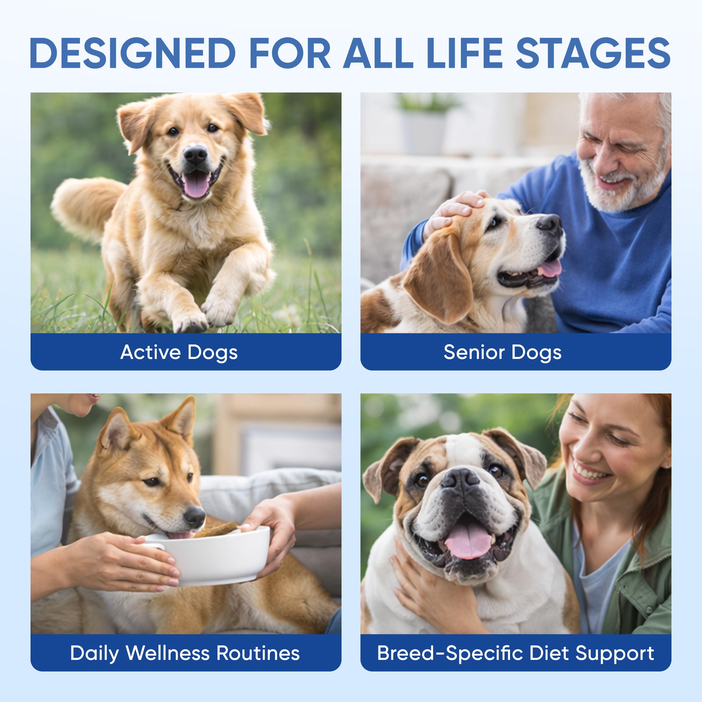 DXWXH Doggy Supps Taurine for all sizes supports balanced canine nutrition