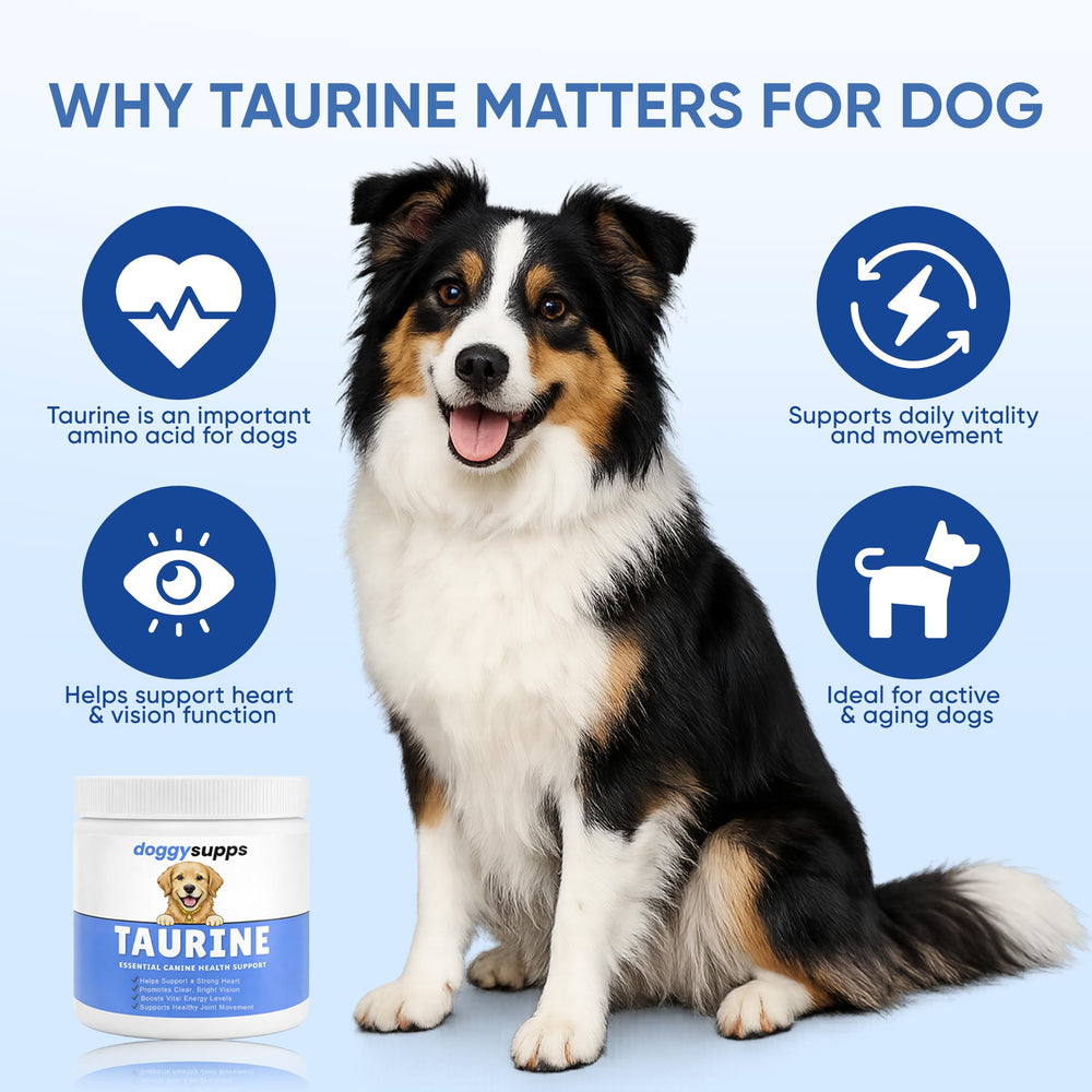DXWXH Doggy Supps Taurine immune-skin-coat scene highlighting coat shine