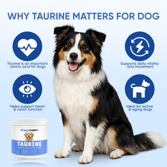 DXWXH Doggy Supps Taurine immune-skin-coat scene highlighting coat shine