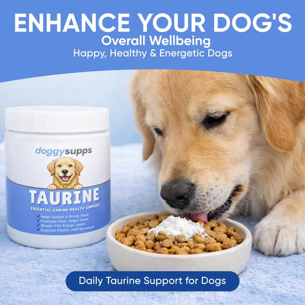 DXWXH Doggy Supps Taurine powder being stirred into food for easy use