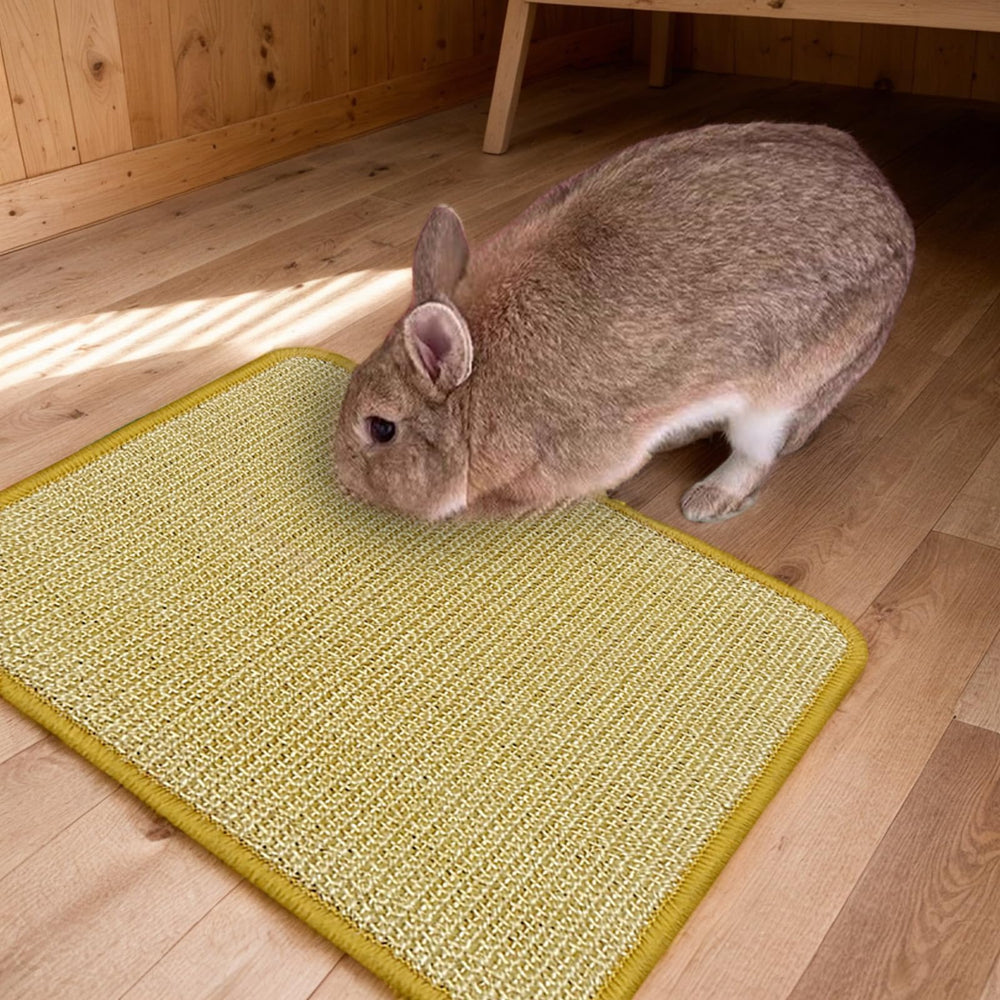 DYAUS for small pets offers versatile enrichment beyond rabbits.