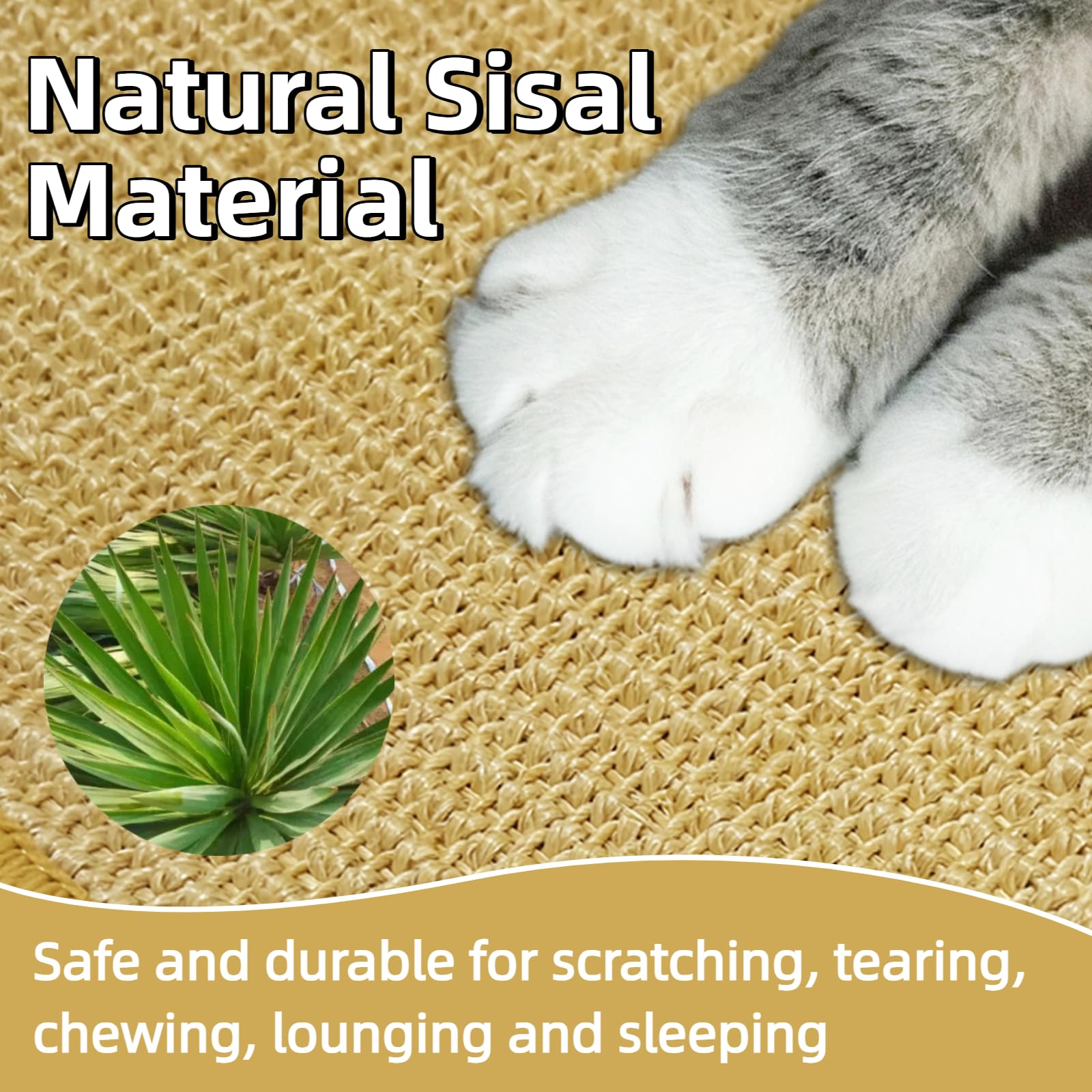 DYAUS scratch pad in cage promotes daily play and nibble enrichment.