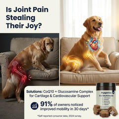DYDUON Pupganics heart health ingredients support cardiovascular wellness in dogs.