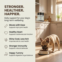 Close-up of Pupganics soft chews; dogs enjoy easy daily supplementation.