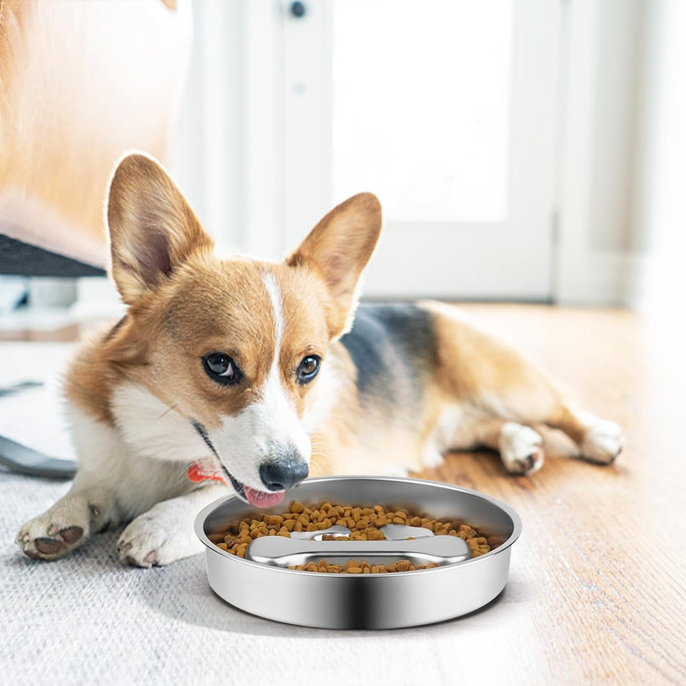 Dyienocs ideal for small to medium pets delivering controlled portions.
