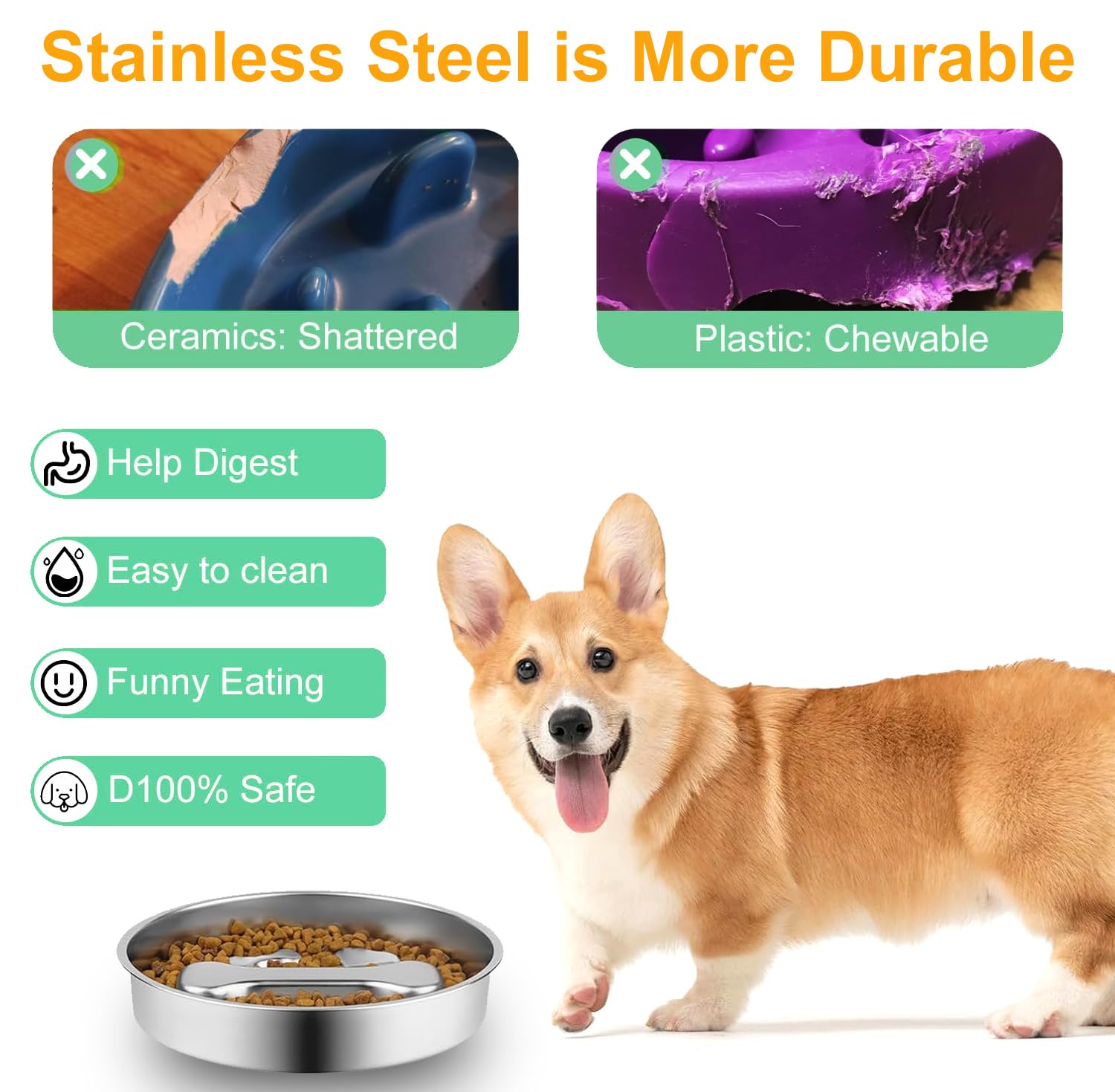 Dyienocs two-sided bowl alternates slow meals and treats surface.