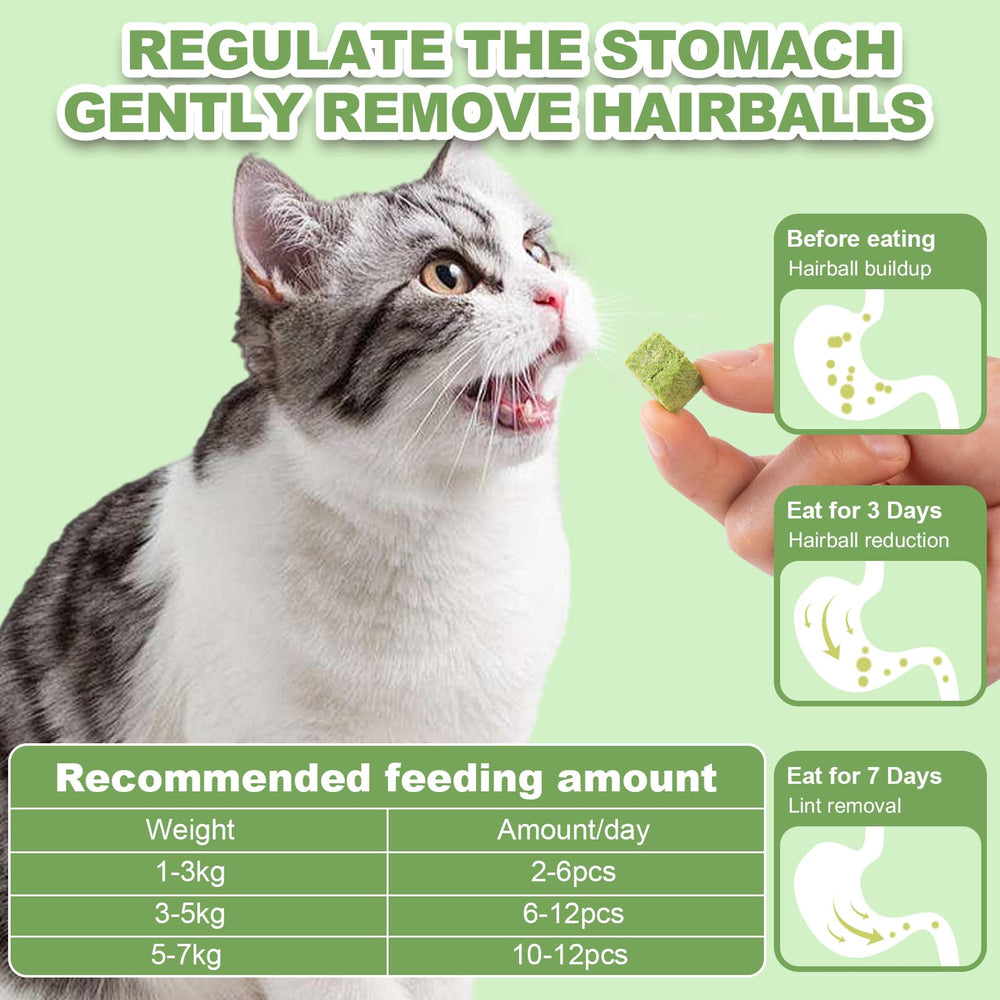 Dylan's cabin cat grass teething cubes aiding hairball management during chewing