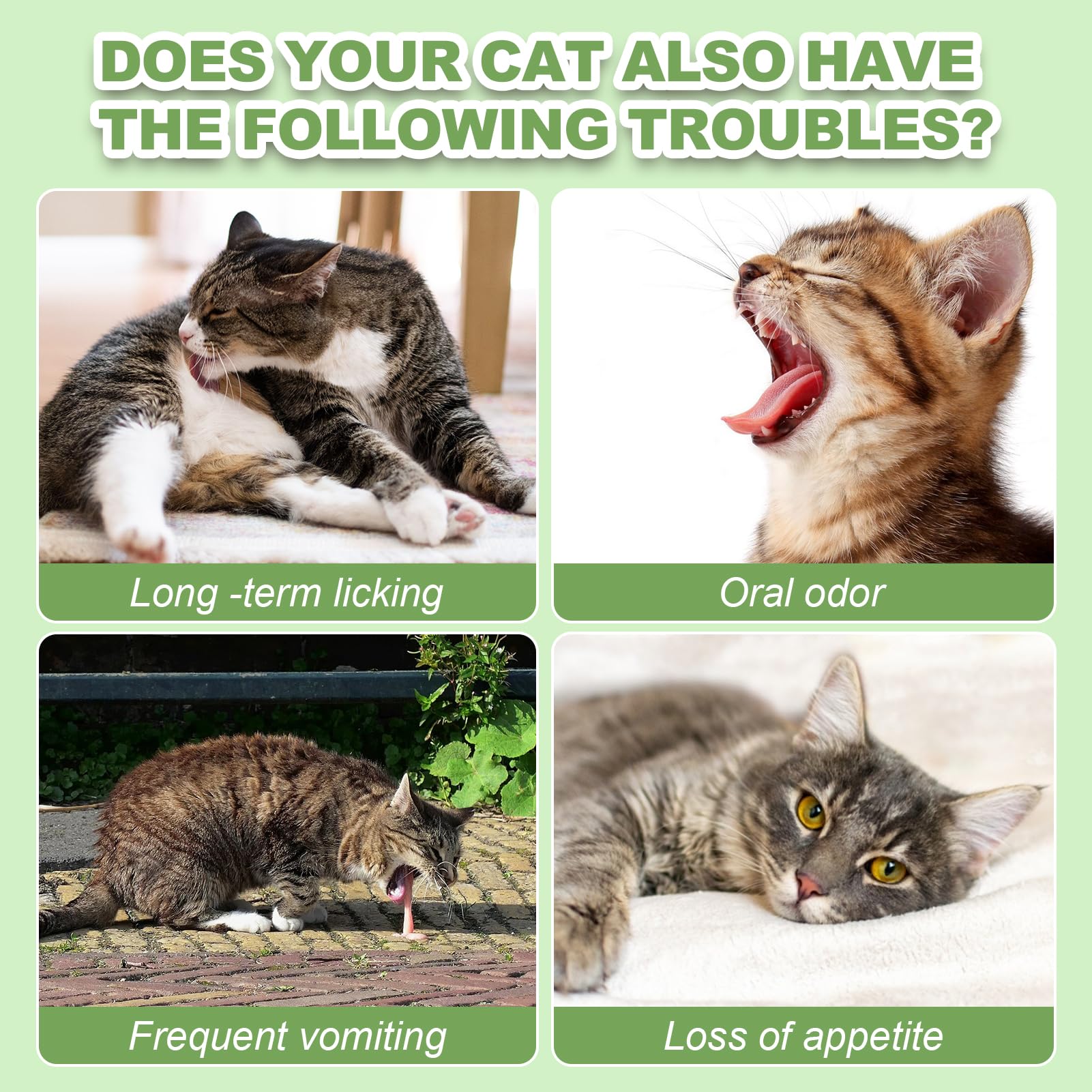 Dylan's cabin cat grass teething cubes used for training and snack