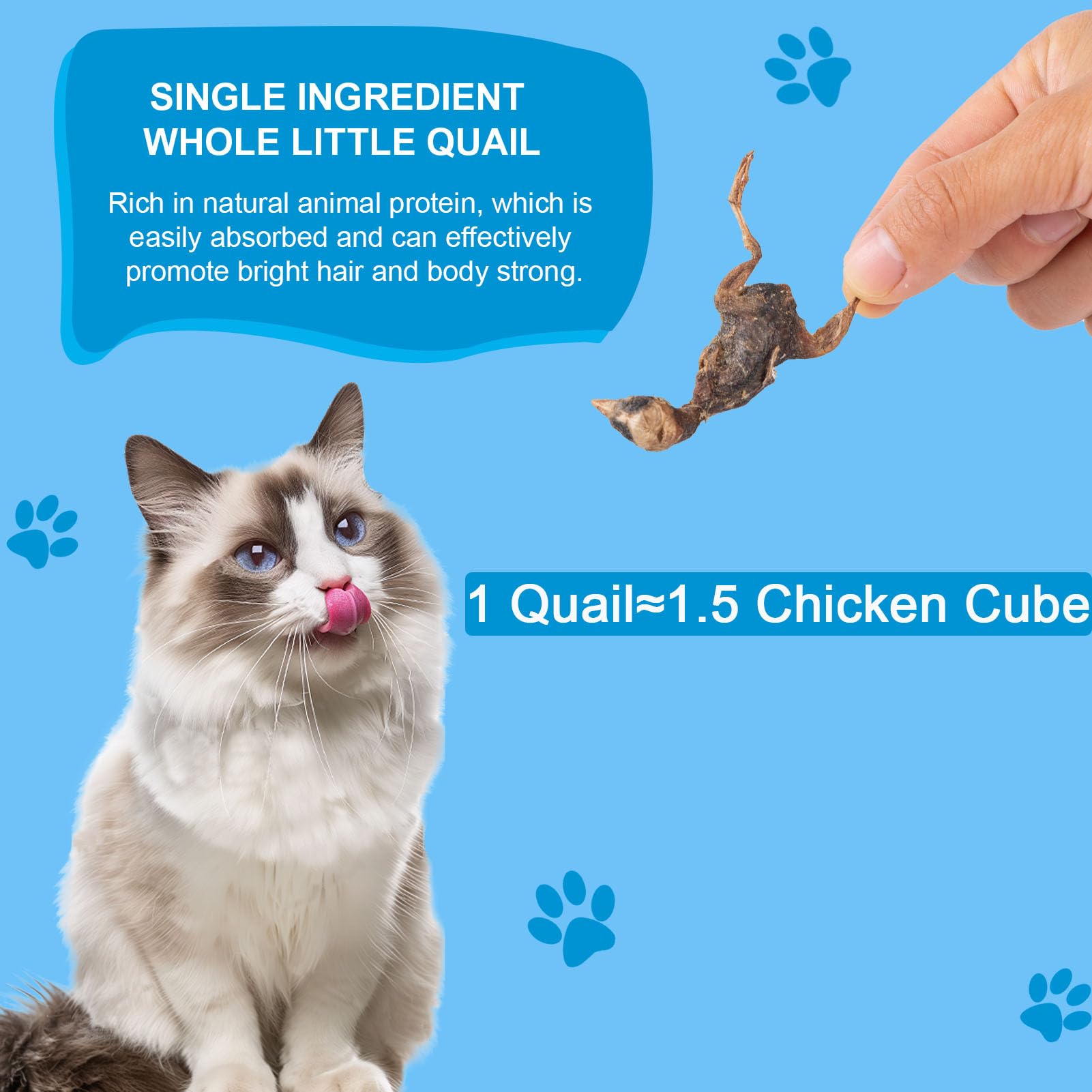Dylan's cabin little quail treats close-up, high-protein natural snack for active pets.