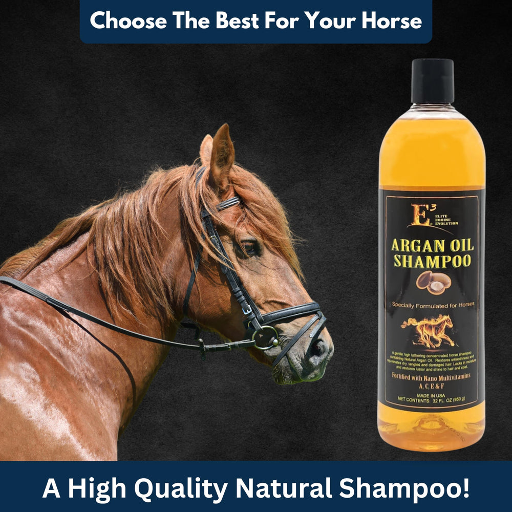 E3 Argan Oil Shampoo coat-shine result on a healthy coat.