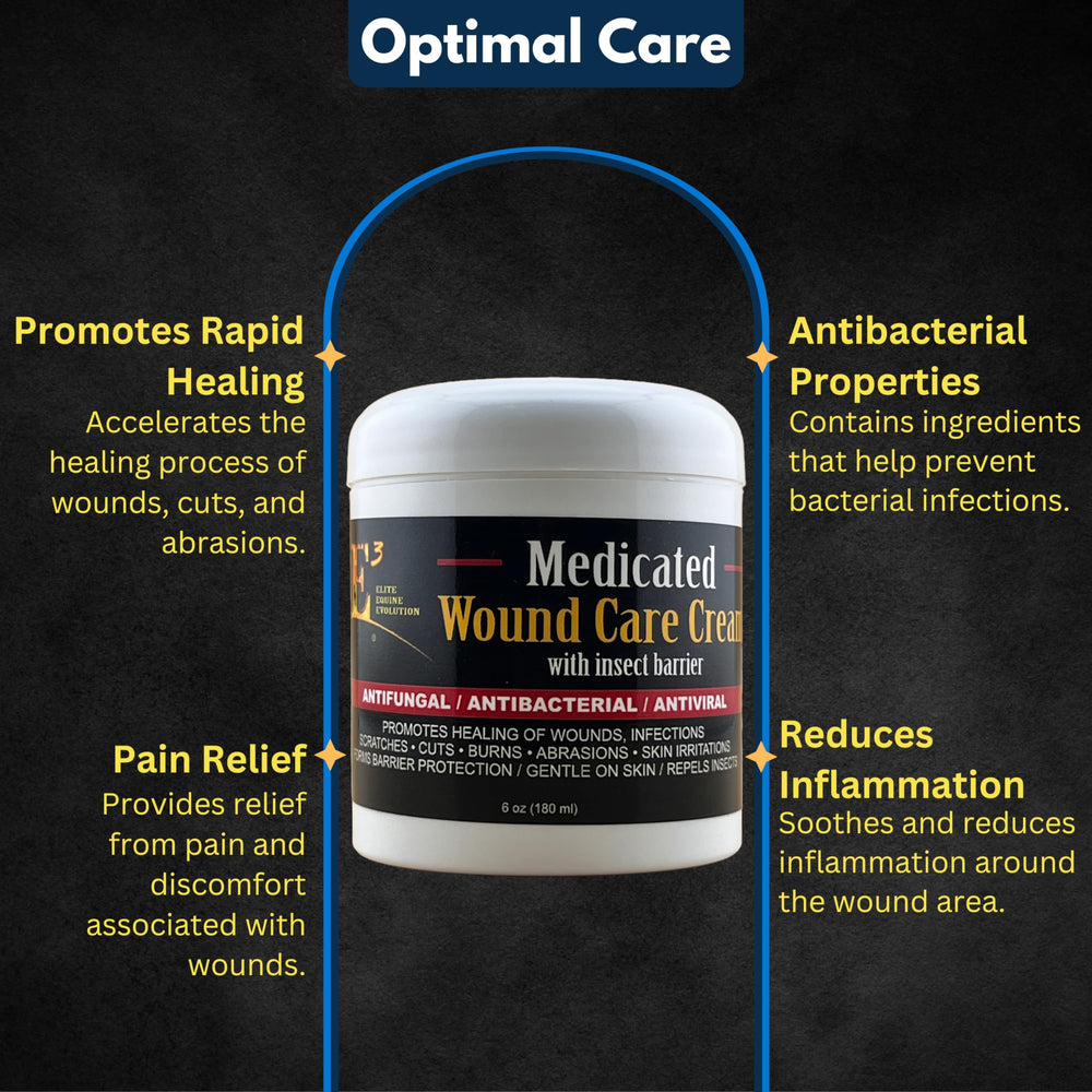 Close-up of applying E3 Medicated Wound Cream to a dog's hotspot.